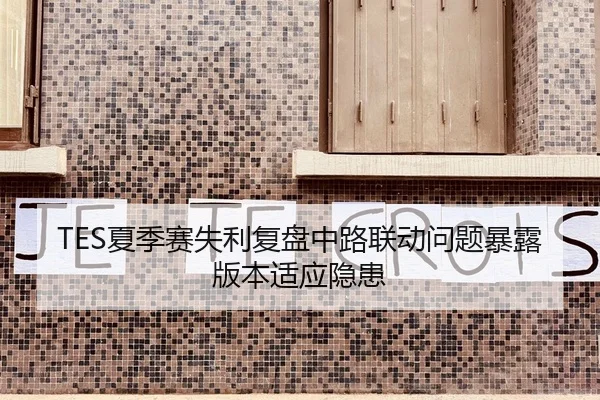 TES夏季赛失利复盘中路联动问题暴露版本适应隐患