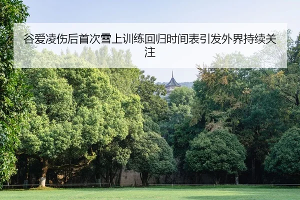 谷爱凌伤后首次雪上训练回归时间表引发外界持续关注