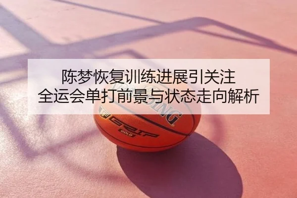 陈梦恢复训练进展引关注 全运会单打前景与状态走向解析