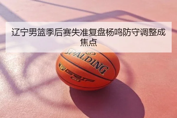 辽宁男篮季后赛失准复盘杨鸣防守调整成焦点